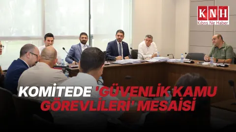 Meclis İdari, Kamu ve Sağlık İşleri Komitesi, Güvenlik Kamu Görevlileri (Değişiklik) Yasa Tasarıları’nı görüştü